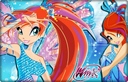 winxkata