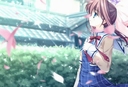 gordan12_animes