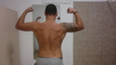 pipo_multiimpexa_92