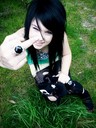 rose_6327