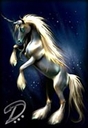 doroty