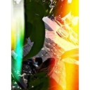 df7d5ea9f4