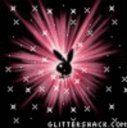 stefi_9669