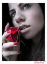 sisencee