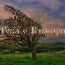 thisbulgaria