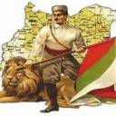 bg_lion