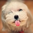 saby_
