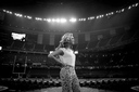 dima_sl