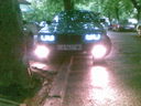 gallli