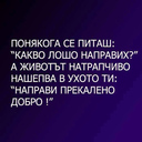 vesitop