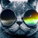 little_insomnia