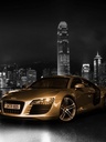geca_5