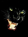otka4alka_95