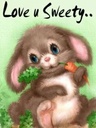 babyborn