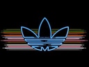 adidas3