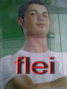 flei