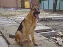 jerilee