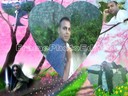 ergin123321