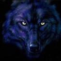 wolf_alpha