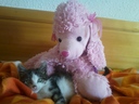 lisana_20000