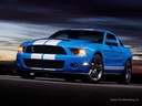 mustangche