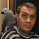 momchev1969