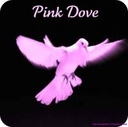 pink_dove