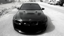 night_lion