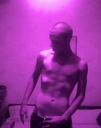 party__animal__