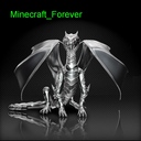minecraft_forever