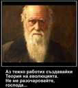 darvin_
