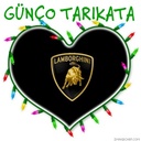 gunco_tarikata