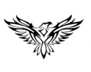 the_hawk