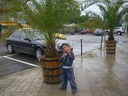 emin1234