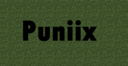 puniix