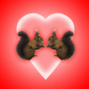 bonbonchee