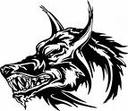 volf73