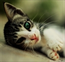 alone_in_the_darkness_6