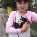tedi888