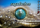 zagadachen