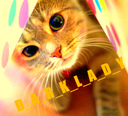 d_a_r_k_l_a_d_y