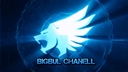 bigbul_chanell