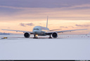 the_pilot