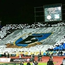 15b7493378