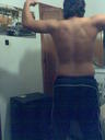 pit_bull_sl