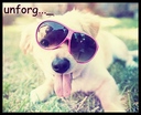 unforgettable_