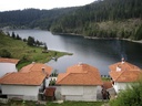 smilkova