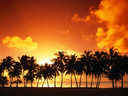 new_summer_hits