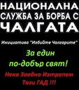 coci_pzz