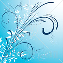 tashy_